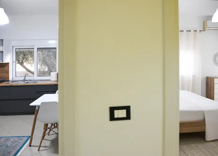 Andris Ylli & Hojza Sarandë